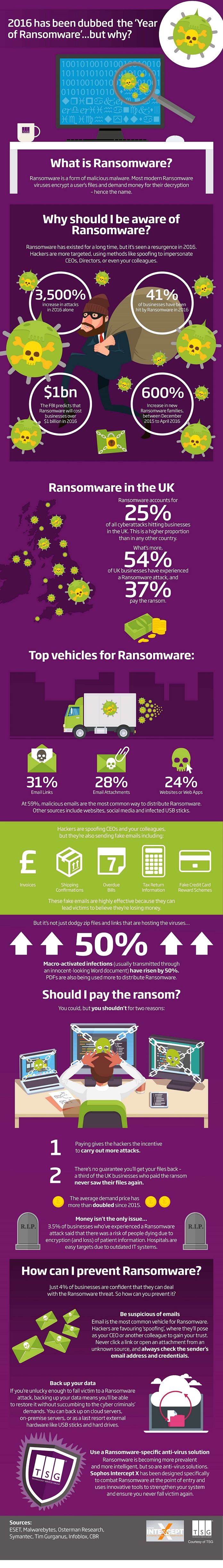 ransomware infographic