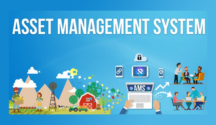 6 Reasons To Consider An Asset Management System