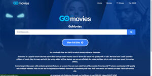 22 Best Gomovies Alternatives in 2025 [Free Movie Sites] - Connection Cafe