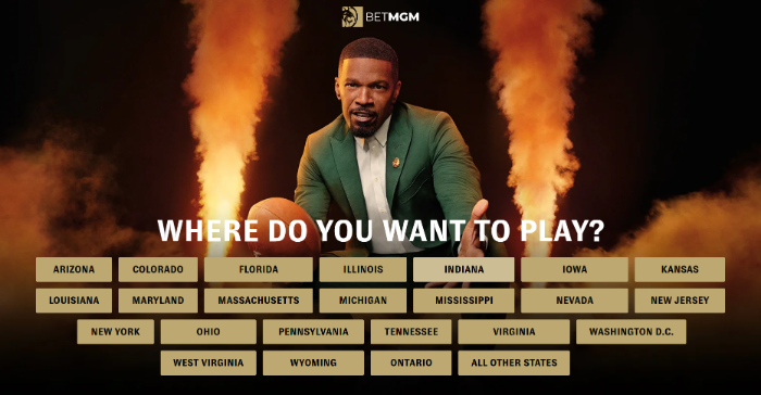 BetMGM Sportsbook & Casino