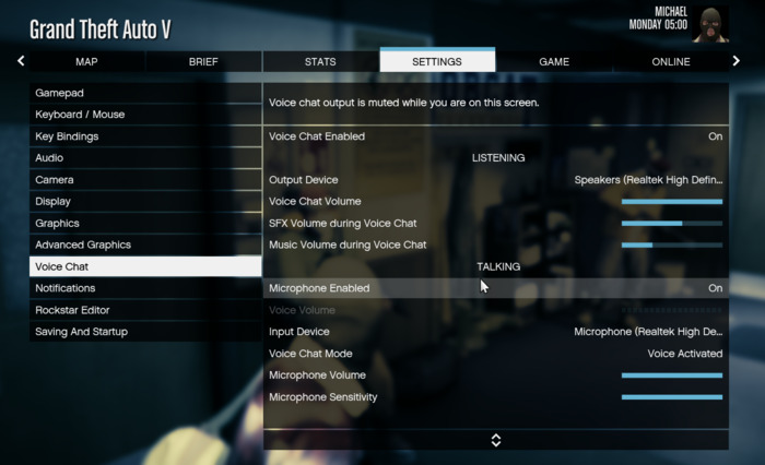 Game voice chat settings