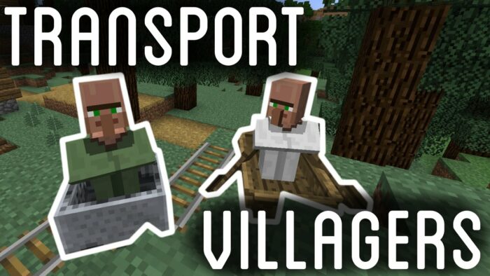 Minecraft Transporting Villagers
