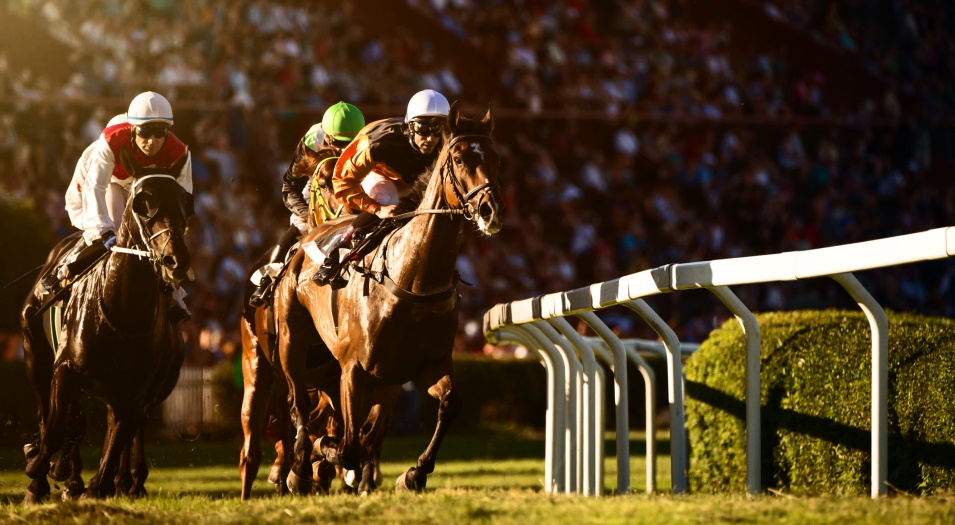 Can You Make Money Betting on Horse Racing?