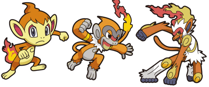Chimchar evolution line