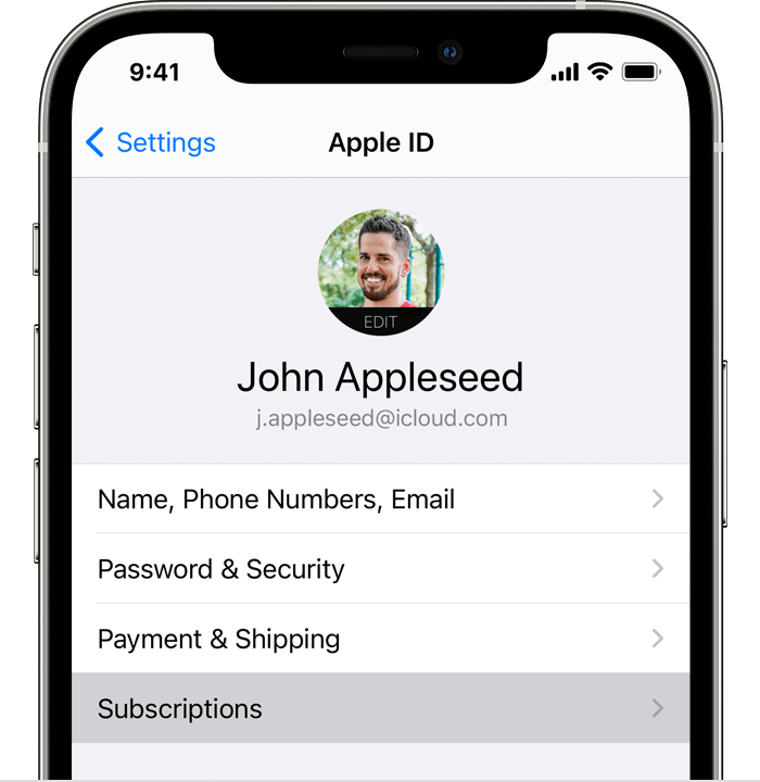 IPHONE SUBSCRIPTIONS MENU