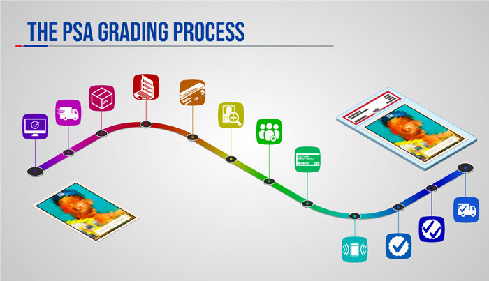 Pokemon Card Grading Process