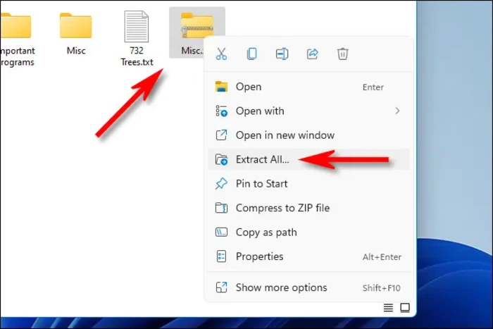 how to extract ZIP files on Windows