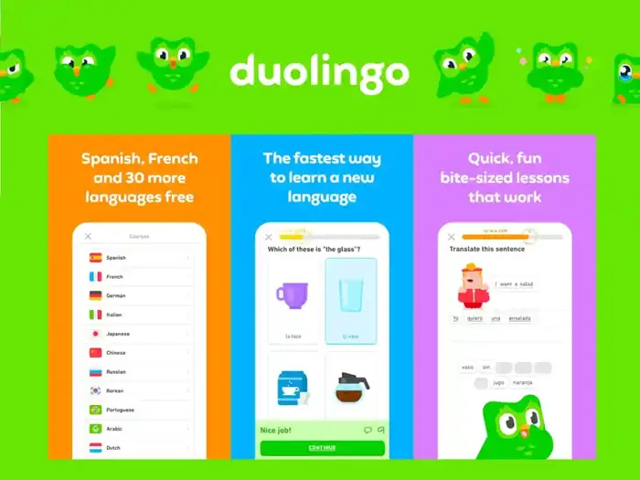What's the Deal with Duolingo